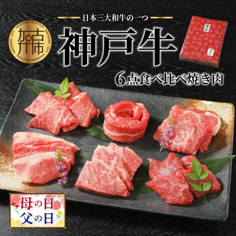 父の日 にも♪ ★選べる配送月★自社牧場直送神戸牛6点食べ比べ焼肉(600g)《 国産 焼肉 食べ比べ 牛肉 霜降り ロース ハラミ 三角バラ カルビ セット 詰め合わせ 選べる 選べる配送月 選べる発送月 贈答用 ギフト プレゼント 贈り物 父の日 》