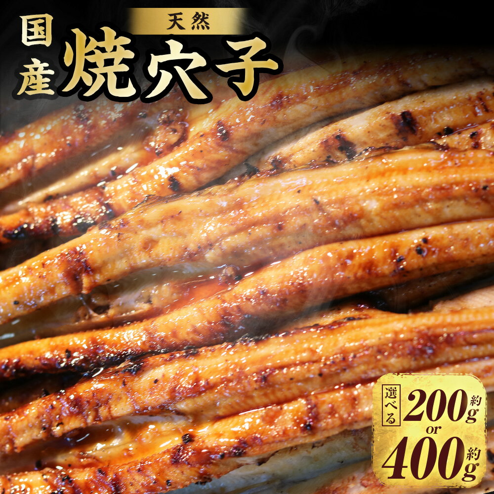 10位! 口コミ数「1件」評価「4」＜選べる容量＞国産 天然 焼穴子 3～5尾（約200g）・6～10尾（約400g） ／あなご アナゴ 焼きアナゴ 焼き穴子 魚 さかな 魚介 加工食品 贈答 兵庫県 赤穂市 冷蔵 送料無料