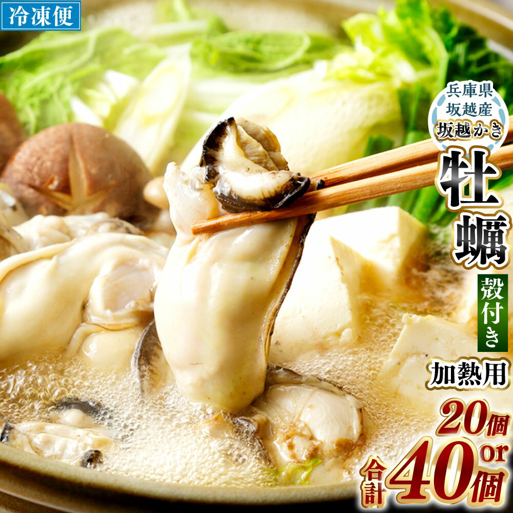 【ふるさと納税】＜選べる個数＞［冷凍］ 坂越かき 殻付き 加熱用 20個・40個 ／ 牡蠣 かき カキ オイスター サムライオイスター 殻付 貝 魚介 坂越湾 瀬戸内海 兵庫県 赤穂市 冷凍 送料無料