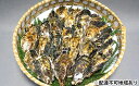 【ふるさと納税】坂越かき 殻付き(25個〜30個) 【魚貝類...