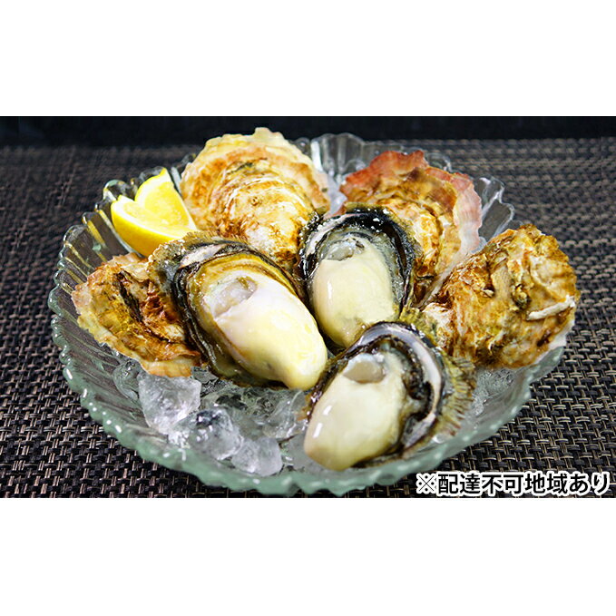 播州赤穂坂越産 岩牡蠣 せとの華 魚貝類 生牡蠣 かき お届け 21年4月1日 21年6月30日 ふるさと納税バイブル 播州赤穂坂越産 岩牡蠣 せとの華 魚貝類 生牡蠣 かき お届け 21年4月1日 21年6月30日 ふるさと納税バイブル