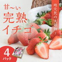 地元民の大好物「ありなしファーム」の甘〜い完熟イチゴ(4パック)　　お届け：2024年1月上旬～2024年5月中旬