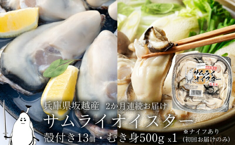 【ふるさと納税】牡蠣 定期便 生食 坂越かき むき身 500g×1、 殻付き 13個(牡蠣ナイフ・軍手付き)2ヵ月連続お届け 生牡蠣 冬牡蠣　【定期便・魚貝類・生牡蠣・かき・頒布会・カキ・シーフード】　お届け：2024年1月中旬〜2024年2月中旬