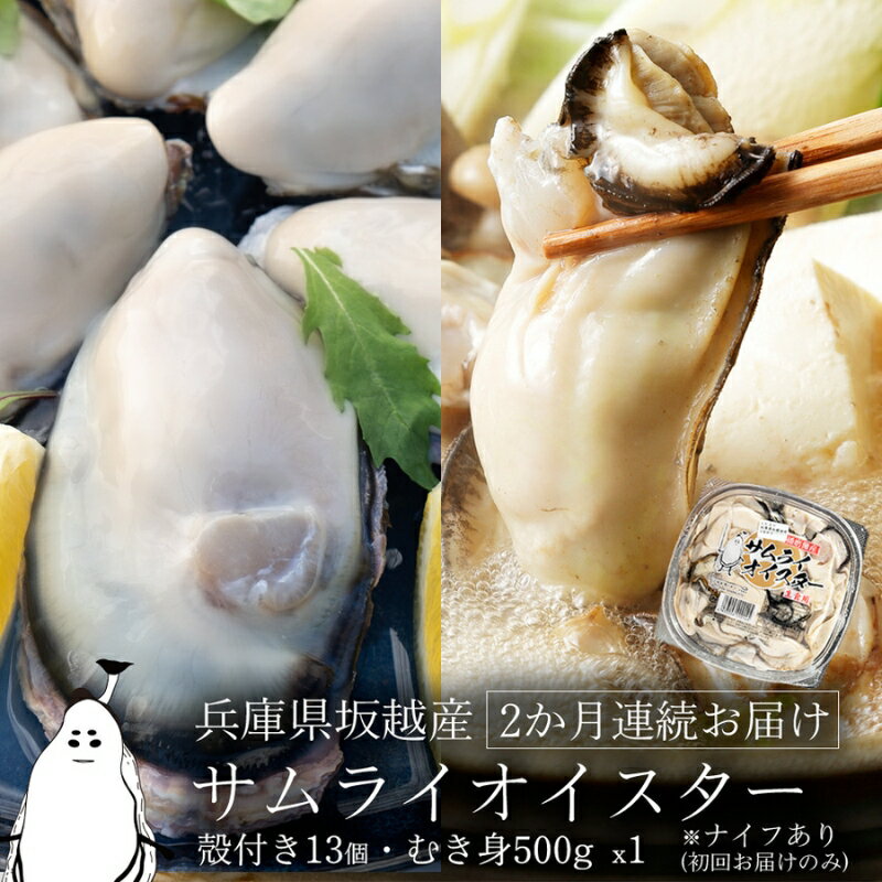 【ふるさと納税】牡蠣 定期便 生食 坂越かき むき身 500g×1、 殻付き 13個(牡蠣ナイフ・軍手付き)2ヵ月連続お届け 生牡蠣 冬牡蠣　【定期便・魚貝類・生牡蠣・かき・頒布会・カキ・シーフード】　お届け：2024年1月中旬〜2024年2月中旬