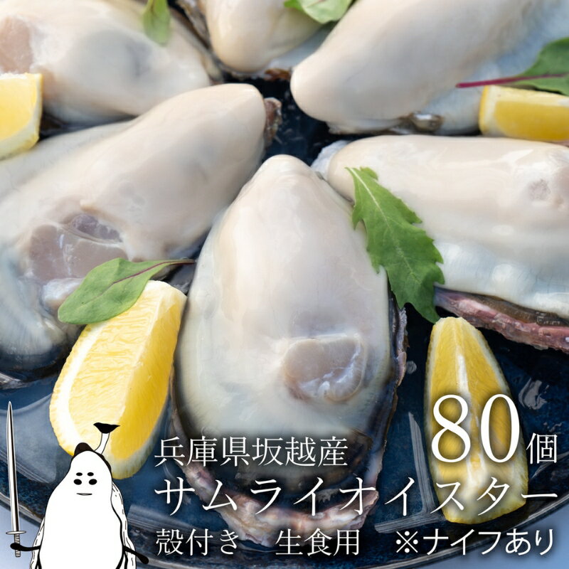 【ふるさと納税】【2024年1月中旬～2024年4月下旬】牡蠣 生食 坂越かき 殻付き 80個(牡蠣ナイフ・軍手付き)サムライオイスター 生牡蠣 冬牡蠣　【魚貝類・生牡蠣・かき】　お届け：2024年1月中旬～2024年4月下旬