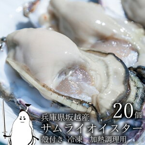 【ふるさと納税】牡蠣 坂越かき 【冷凍】 殻付き 20個(加熱用)サムライオイスター 冬牡蠣　【魚介類・カキ・牡蠣・加工食品】