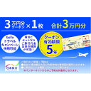 兵庫の旅行券（宿泊券） 【ふるさと納税】日本旅行　地域限定旅行クーポン【30，000円分】　【旅行・チケット・旅行・宿泊券】