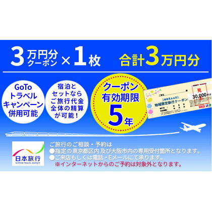 日本旅行　地域限定旅行クーポン【30，000円分】　【旅行・チケット・旅行・宿泊券】