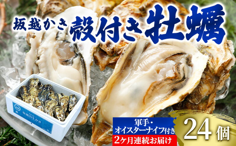 【ふるさと納税】 定期便 牡蠣 坂越かき 殻付き牡蠣 28個 オイスターナイフ付き【2ヵ月連続お届け】[ 生牡蠣 かき カキ 殻付 生食 冬牡蠣 ]　【定期便・魚貝類・生牡蠣・かき】　お届け：2024年1月中旬～2024年3月中旬