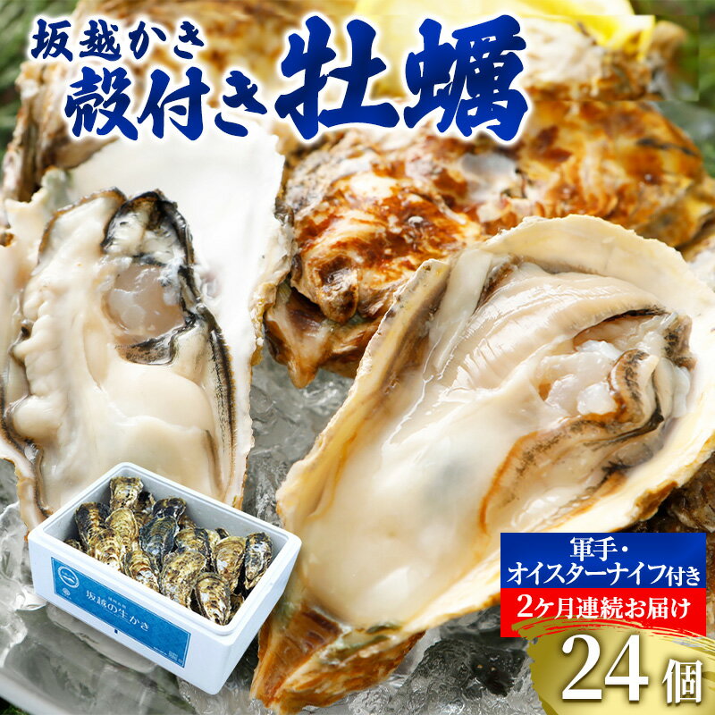 【ふるさと納税】 定期便 牡蠣 坂越かき 殻付き牡蠣 28個 オイスターナイフ付き【2ヵ月連続お届け】[ 生牡蠣 かき カキ 殻付 生食 冬牡蠣 ]　【定期便・魚貝類・生牡蠣・かき】　お届け：2024年1月中旬～2024年3月中旬