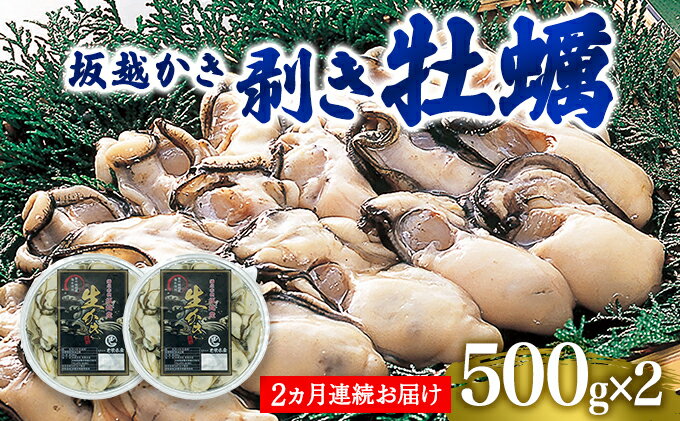 【ふるさと納税】 定期便 牡蠣 坂越かき 剥き牡蠣 500g×2【2ヵ月連続お届け】[ 生牡蠣 かき カキ むき身 剥き身 生食 冬牡蠣 ]　【定期便・魚貝類・生牡蠣・かき・1kg】　お届け：2024年1月中旬～2024年3月中旬