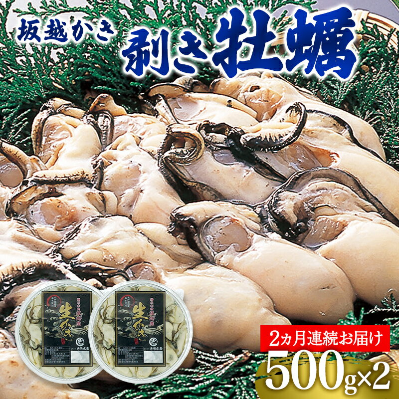 【ふるさと納税】 定期便 牡蠣 坂越かき 剥き牡蠣 500g×2【2ヵ月連続お届け】[ 生牡蠣 かき カキ むき身 剥き身 生食 冬牡蠣 ]　【定期便・魚貝類・生牡蠣・かき・1kg】　お届け：2024年1月中旬～2024年3月中旬