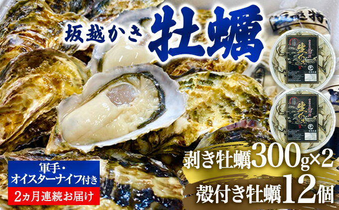 【ふるさと納税】 定期便 牡蠣 坂越かき 剥き牡蠣 300g×2、殻付き牡蠣 12個 オイスターナイフ付き【2ヵ月連続お届け】[ 生牡蠣 かき カキ 生食 冬牡蠣 ]　【定期便・魚貝類・生牡蠣・かき】　お届け：2024年1月中旬～2024年3月中旬