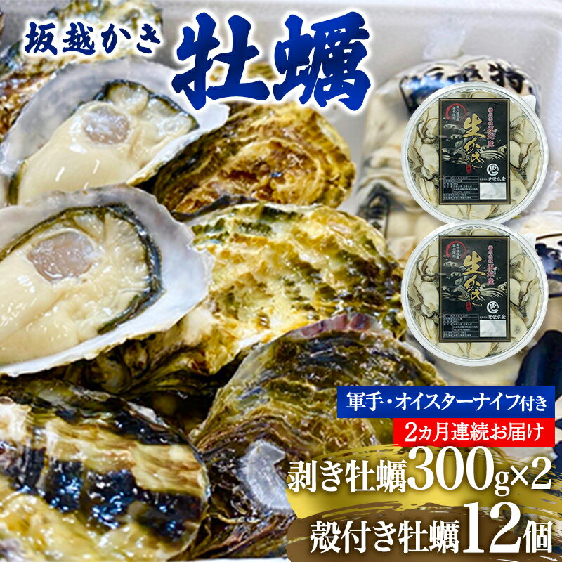 【ふるさと納税】 定期便 牡蠣 坂越かき 剥き牡蠣 300g×2、殻付き牡蠣 12個 オイスターナイフ付き【2ヵ月連続お届け】[ 生牡蠣 かき カキ 生食 冬牡蠣 ]　【定期便・魚貝類・生牡蠣・かき】　お届け：2024年1月中旬～2024年3月中旬