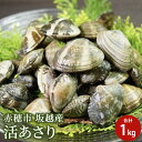 兵庫県 赤穂市 坂越産 活あさり 1kg　【アサリ・あさり・浅利】　お届け：2024年2月中旬～2024年5月下旬