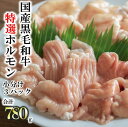 【ふるさと納税】【国産黒毛和牛】特選ホルモン780g 260g×3パック 小分け 大容量 炒め物 煮込み料理 使い勝手 抜群 熟成 パック もつ鍋 焼肉 グルメ 食品 送料無料