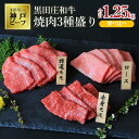 【ふるさと納税】【冷蔵】黒田庄和牛焼肉3種盛り 食べ比べ(合計1.25kg) 牛肉 赤身 焼肉