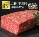 【ふるさと納税】【数量限定】モモ ブロック肉（520g）《神