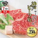 【ふるさと納税】【神戸牛 牝】神戸ビーフ牝 極厚サーロインステーキ(ハーフカット)2枚(約250g)【冷凍・期間限定品】川岸牧場 ステーキ 神戸牛