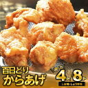 【ふるさと納税】播州百日どり からあげ(4袋 or 8袋入) 醤油 塩 各2袋 唐揚げ から揚げ からあげ もも肉 簡単調理 温めるだけ 自然解凍 とり肉 鶏肉...
