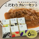 12位! 口コミ数「0件」評価「0」ひょうごの食材こだわりカレーセット6種《そらとぶじゅうたん》 カレー レトルト カレーライス レトルトカレー カレーの日