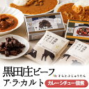【ふるさと納税】黒田庄和牛カレー・シチュー・佃煮【黒田庄ビーフ アラカルト】お店の味を自宅で!【そらとぶじゅうたん】