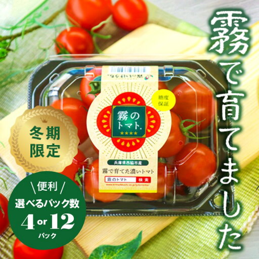 【ふるさと納税】【霧で育てた濃厚な味】霧のトマト 選べるパック数 200g× 4パック or 12パック 【ふるさと納税】【霧で育てた濃厚な味】霧のトマト 選べるパック数 200g× 4パック or 12パック