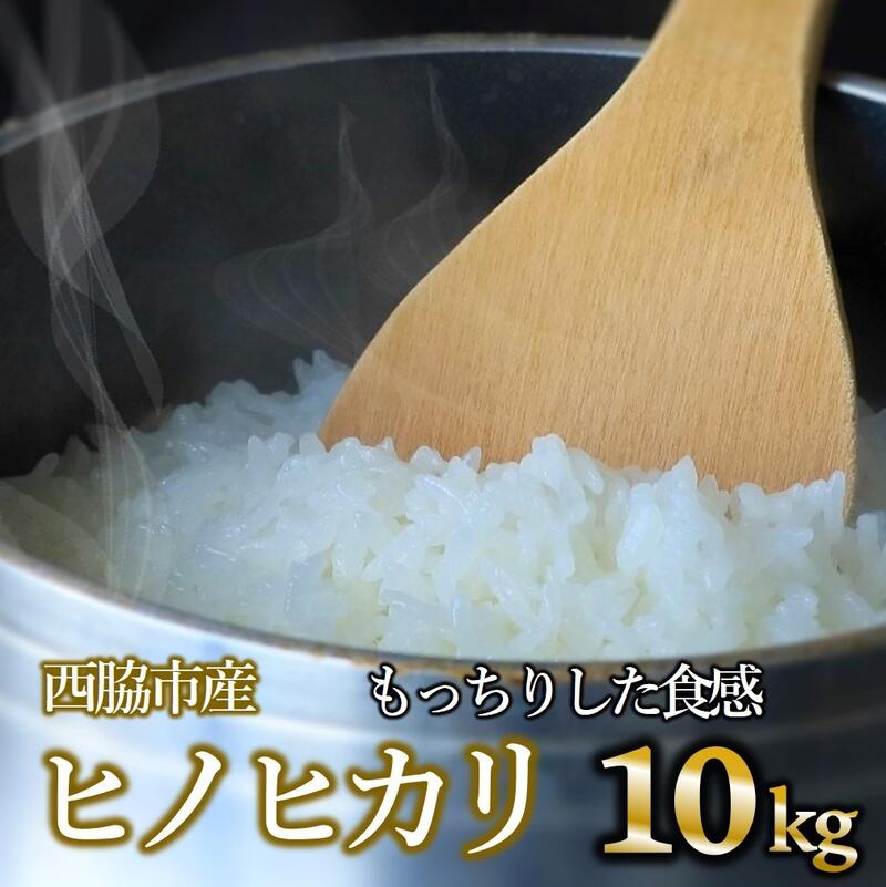 【ふるさと納税】食べ応え抜群【ブランド米 ヒノヒカリ】白米10kg（10kg×1袋）...