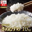 【ふるさと納税】【令和5年産 きぬむすめ】白米10kg（10kg×1袋）2023年産【5営業日以内に発送】