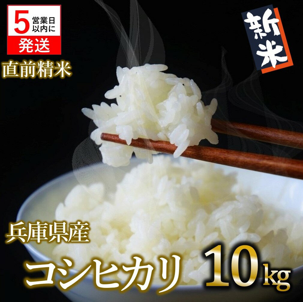 【ふるさと納税】【令和5年産 コシヒカリ】白米10kg（10kg×1袋）新米 2023年産【5営業日以内に発送】 米 お米 米10kg お米10kg 兵庫県産 こしひかり コシヒカリ 新米 旨味 もっちり モッチリ 食感 甘い