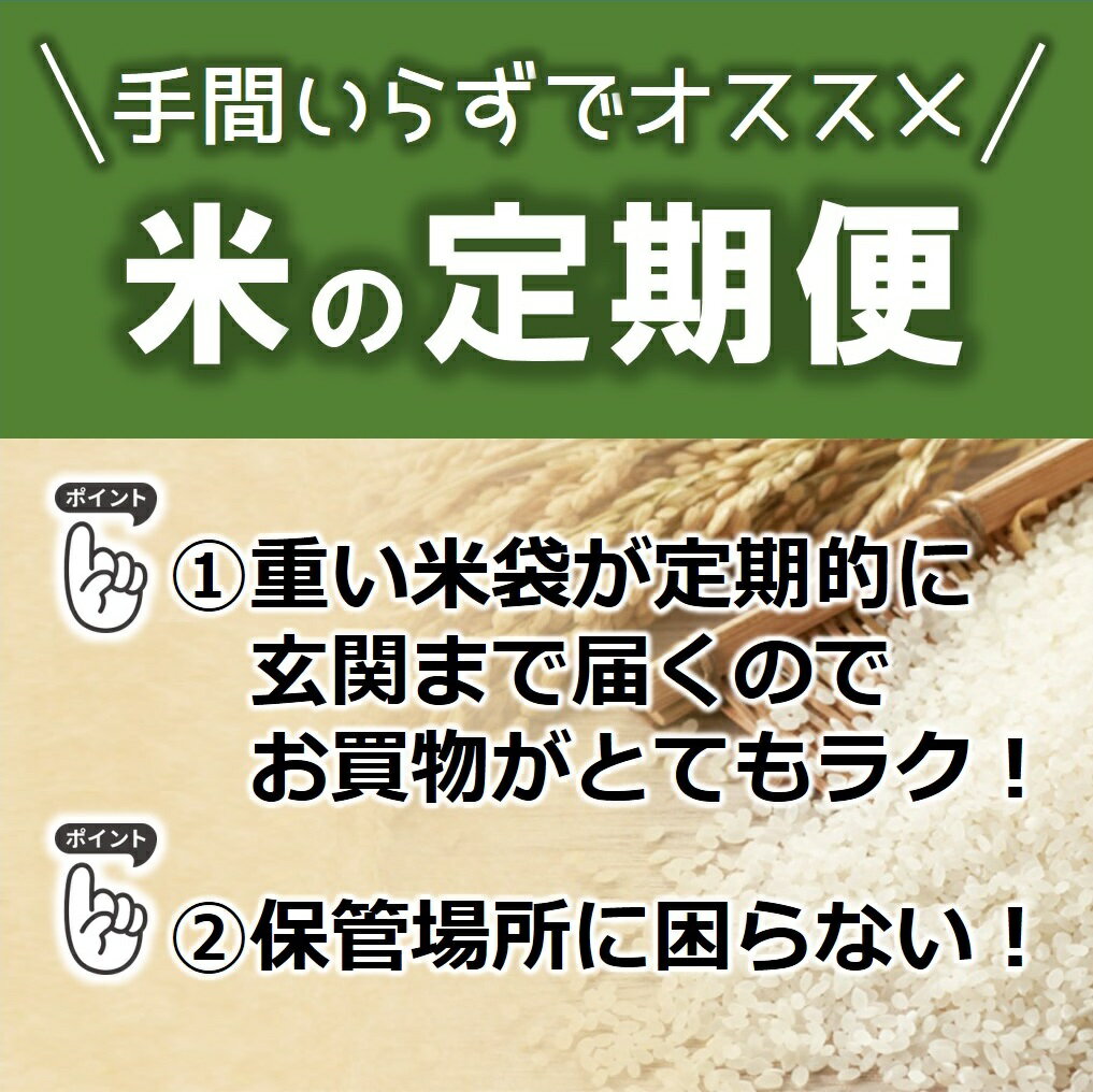 【ふるさと納税】【スピード発送】【定期便】 令和7年産 きぬむすめ 白米 選べる容量 5kg 10kg 20kg 30kg 米 お米 兵庫県産 キヌムスメ
