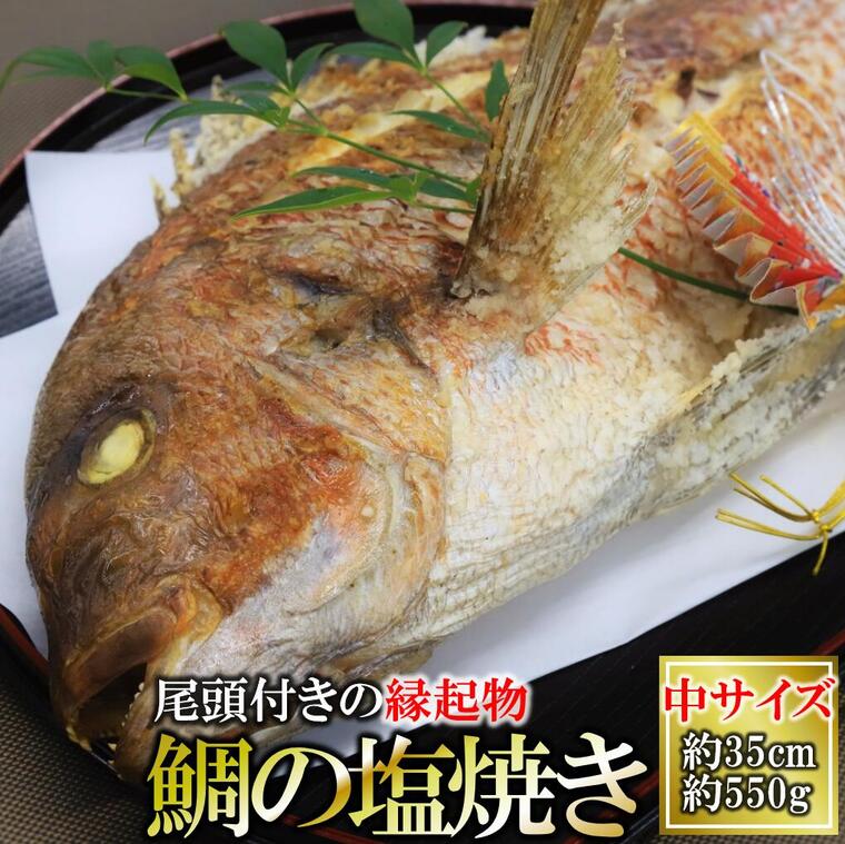 【ふるさと納税】【尾頭付き・縁起物】活塩焼き鯛（タイ）姿焼き中サイズ約550g/約35cm　魚プロ集団が手掛ける自信作！