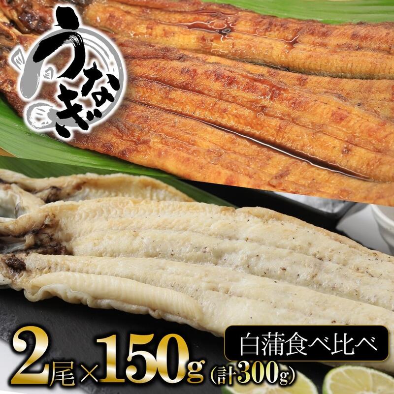 6位! 口コミ数「0件」評価「0」【うなぎ 蒲焼き×白焼き】活うなぎ 食べ比べセット（各1尾×150g）愛知・一色産 魚プロ集団が最新ロースト機で手掛ける自信作！