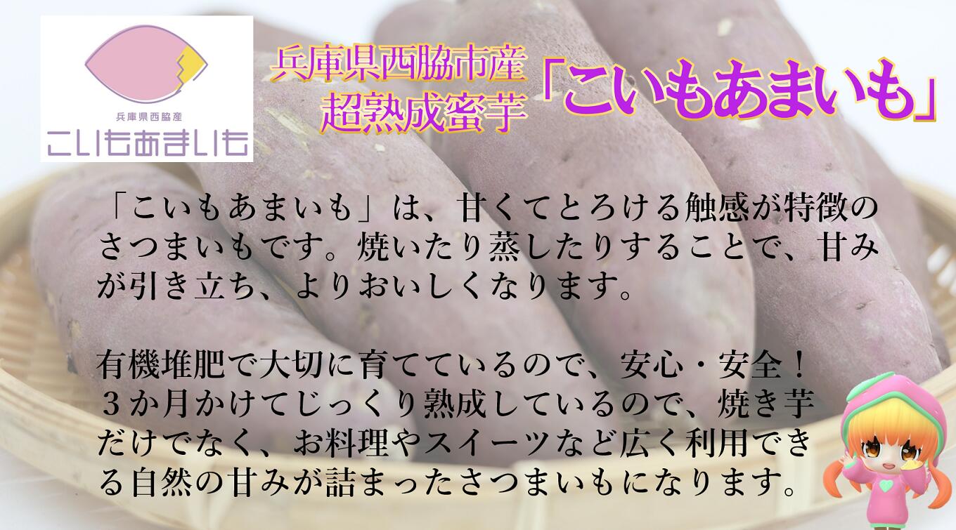 【ふるさと納税】【訳あり】超熟成蜜芋 土付きふそろいさつまいも「こいもあまいも」S サイズ 合計5kg　選べる紅はるか or シルクスイート