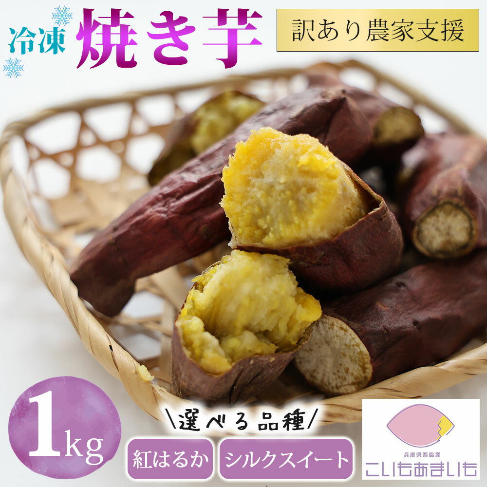 [訳あり]農家が作った超熟成蜜芋「こいもあまいも」の冷凍焼きいも 合計1kg 焼き芋 さつまいも 紅はるか シルクスイート 芋 熟成芋 焼き芋 スイーツ 熟成さつまいも 蜜芋 冷凍焼き芋 冷凍焼きいも 冷やし芋 やきいも わけあり 訳アリ 訳あり 先行予約