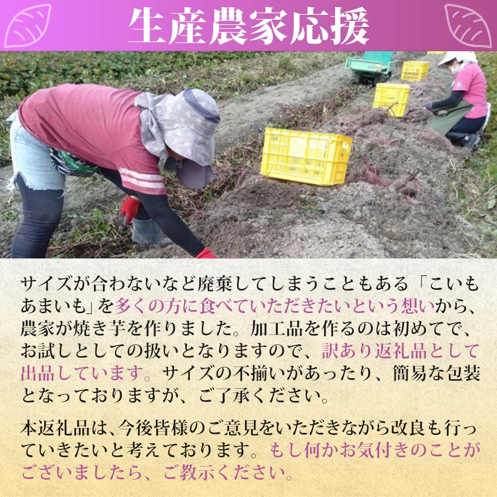 【ふるさと納税】【訳あり】農家が作った超熟成蜜芋「こいもあまいも」の冷凍焼きいも 合計1kg 焼き芋 さつまいも 紅はるか シルクスイート 芋 熟成芋 焼き芋 スイーツ 熟成さつまいも 蜜芋 冷凍焼き芋 冷凍焼きいも 冷やし芋 やきいも わけあり 訳アリ 訳あり 先行予約