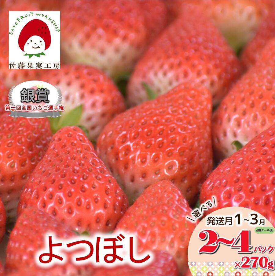 [2025年産先行予約]「佐藤果実工房のよつぼし」選べる 2P 3P 4P 発送月1月から3月[全国いちご選手権銀賞受賞]