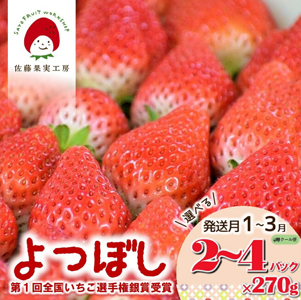 【ふるさと納税】《2026年産先行予約》「西脇市産 佐藤果実工房のよつぼし」選べる 2P 3P 4P 発送月1月 2月 3月【全国いちご選手権銀賞受賞】