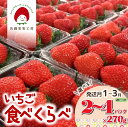 【ふるさと納税】《2026年産先行予約》3品種「旬のいちご食べ比べセット」選べる 2P 3P 4P 発送月1月 2月 3月~佐藤果実工房の西脇市産いちご~【TVで紹介 3年連続全国いちご選手権銀賞受賞農園】