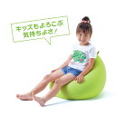 【ふるさと納税】 【MOGU】ビーズソファ「Fit Chair（フィットチェア）」（本体・カバーセット） MOGU モグ ビーズクッション クッション ソファ ギフト こども 子供 子ども プレゼント 快眠 洗濯可能 寝具 レッド オレンジ ロイヤルブルー ライトグリーン ブラウン ブラック 3