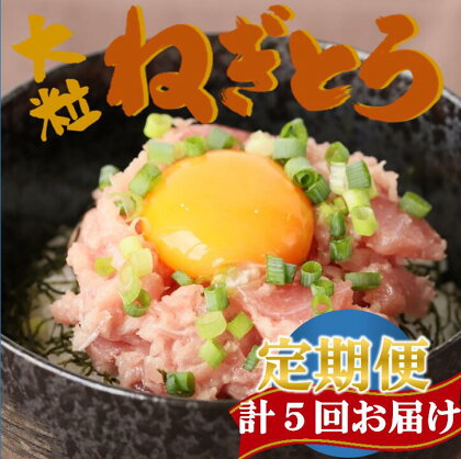 【計5回お届け】天然マグロねぎとろ定期便 計2.5kg　メバチマグロ キハダマグロ ねぎとろ ねぎトロ まぐろ 鮪 まぐろたたき たたき 大粒たたき