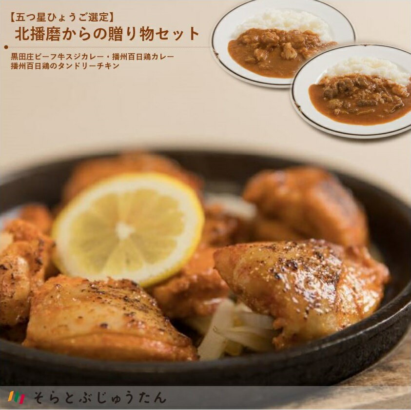 【五つ星ひょうご選定】北播磨からの贈り物セット（カレー＆タンドリーチキン）