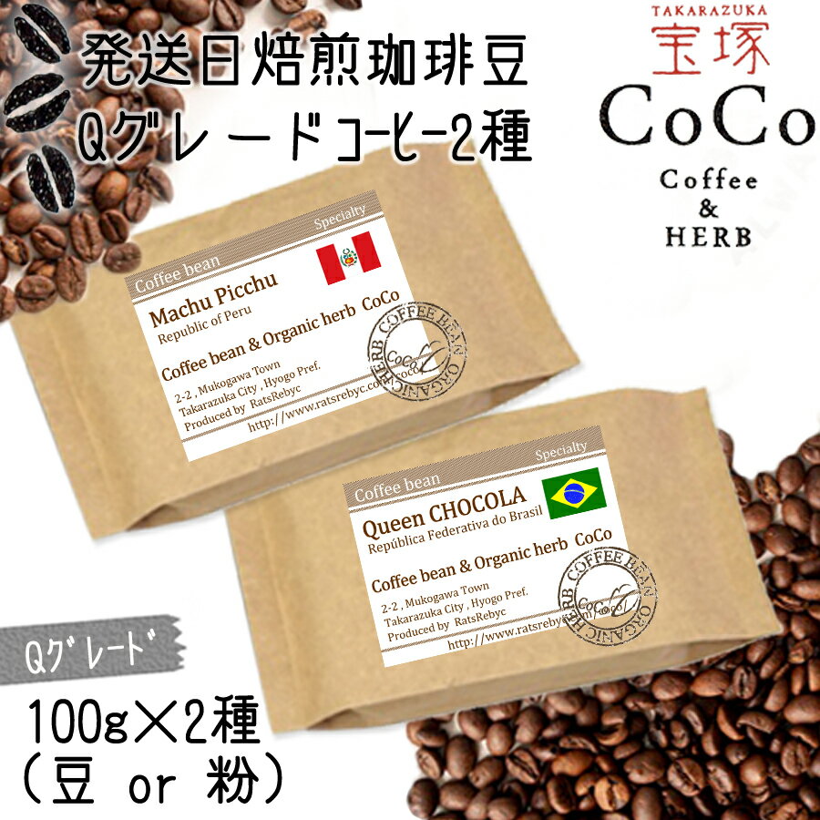 【ふるさと納税】Qグレードコーヒー100g×2種/当日自家焙煎珈琲　miniサイズ　ブラジルNo.2 クイーン ショコラ 浅煎　マチュピチュ 中煎 2種類 クリックポスト 送料無料