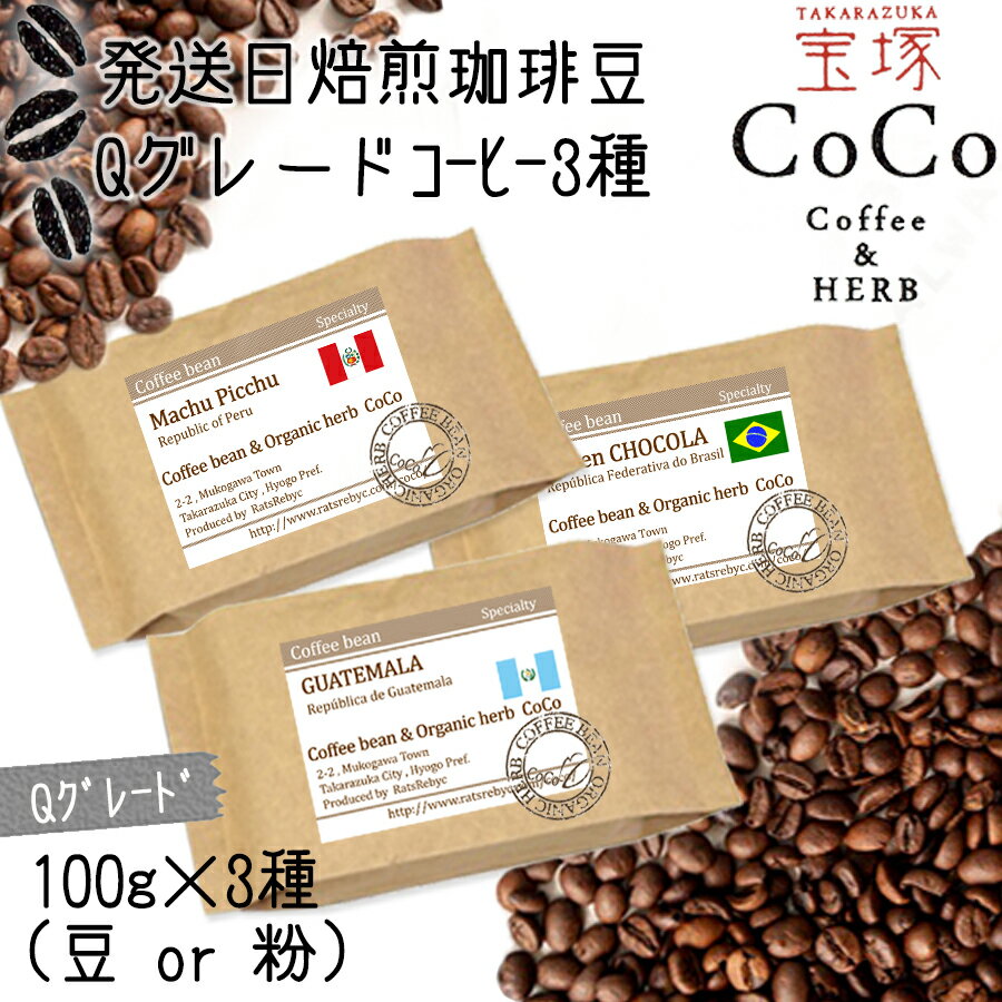 【宝塚】Qグレード珈琲3種類 当日自家焙煎珈琲100g×3種