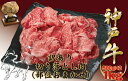 神戸牛(神戸ビーフ)訳あり 切り落とし肉 500g×2 計1kg