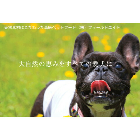 1位! 口コミ数「0件」評価「0」犬のおやつ 小袋5点セット