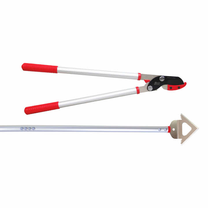 【ふるさと納税】ふるさと納税限定！太枝切鋏と雑草スクレーパーの秀逸道具セット