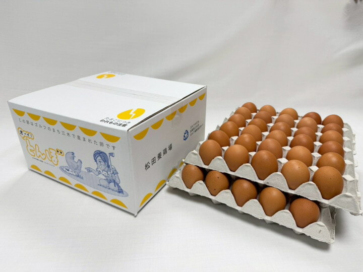 [オーイ!とんぼ×松田養鶏場コラボパッケージ]産地直送 松田養鶏場のひょうごの赤たまご60個(50個+割れ補償10個) 鶏卵 卵 たんぱく質