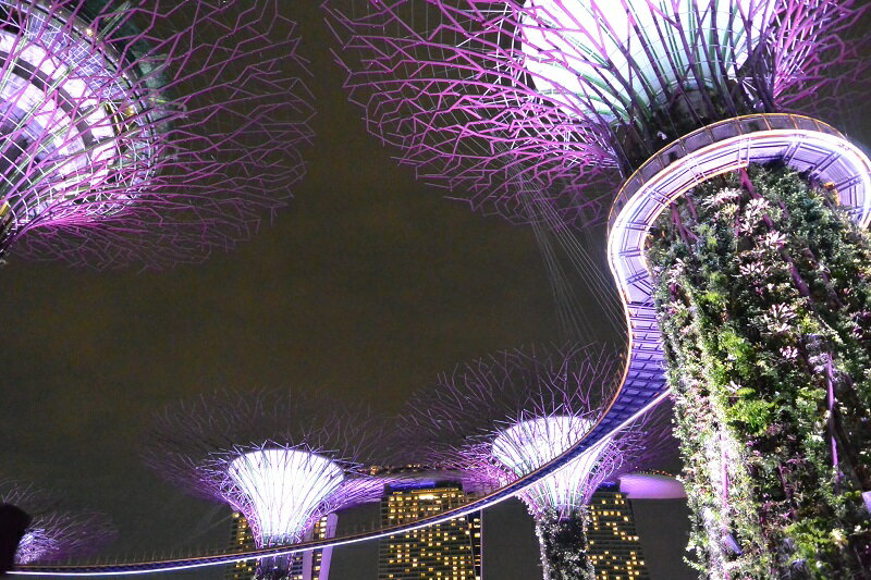 【ふるさと納税】シンガポールで好評の新ブレンド「恋文」と違いが分かるスペシャルティコーヒー2種（豆のまま）が大人気返礼品になっている理由とは　ふるさと納税　人気　返礼品　ランキング