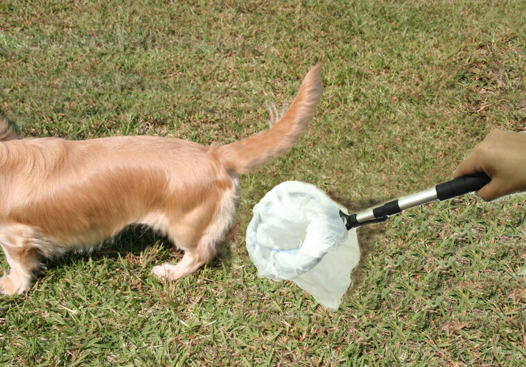 【ふるさと納税】【便利グッズ】わんわんエチケット